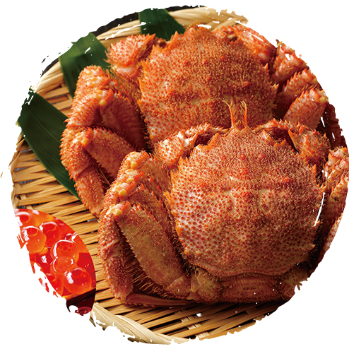 贅沢蛸づくし詰合せセット